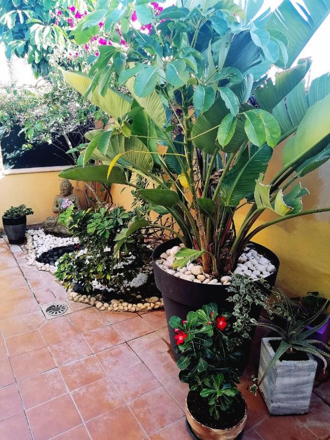Vivienda Vacacional Vaiana Las Rosas  Exteriér fotografie